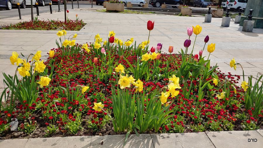 רומניה פסח 2019